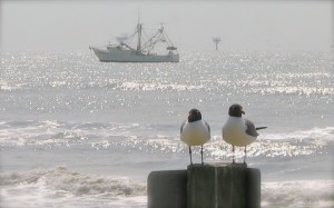 Shrimpers headed out for the day